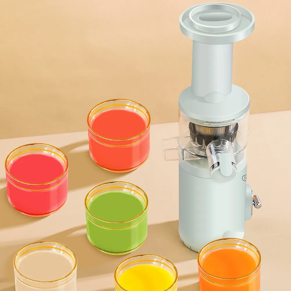 Mini Slow Juicer